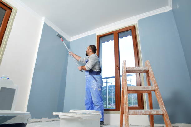 Professional Dry wall and painting in Pine Hills, FL