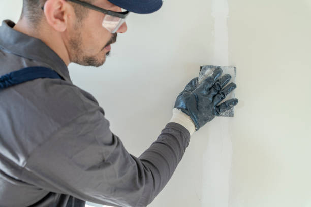 Best Commercial Painting  in Pine Hills, FL