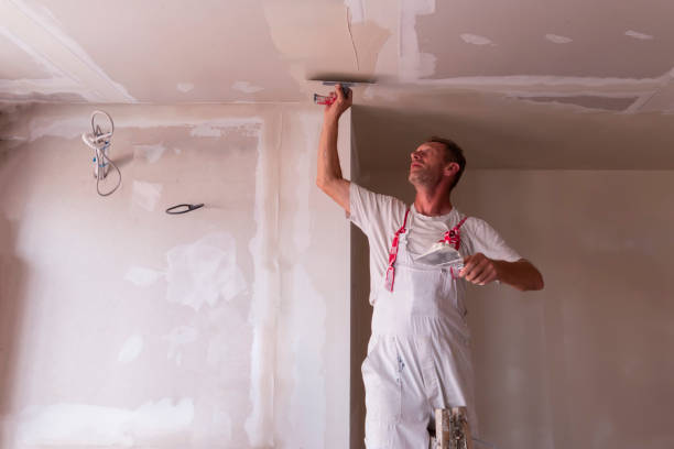 Best Drywall Installation  in Pine Hills, FL