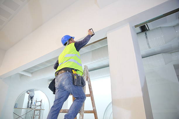 Best Fire-Damaged Drywall Repair  in Pine Hills, FL