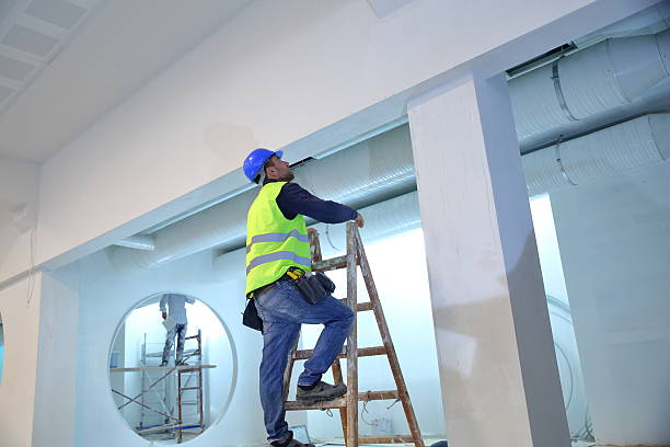 Best Eco-Friendly and Low-VOC Painting  in Pine Hills, FL